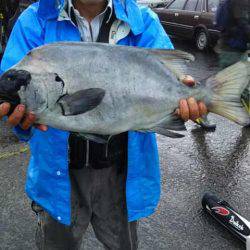 蝶栄丸 釣果