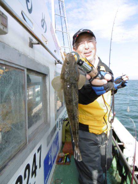 かもめ釣船 釣果