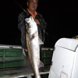 かもめ釣船 釣果