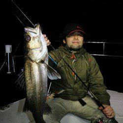 フルコンタクト 釣果