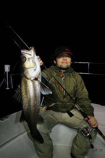 フルコンタクト 釣果