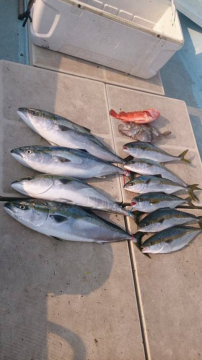 旭星釣りセンター 釣果