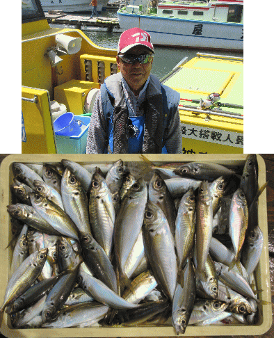 荒川屋 釣果