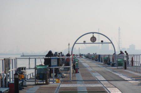 オリジナルメーカー海づり公園(市原市海づり施設) 釣果