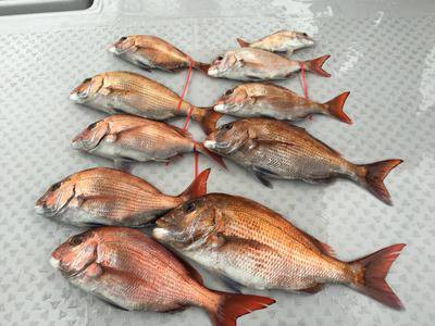 ミタチ丸 釣果