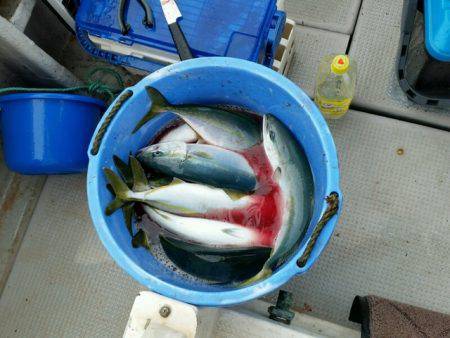 つれ鷹丸 釣果