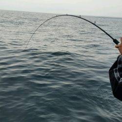 つれ鷹丸 釣果