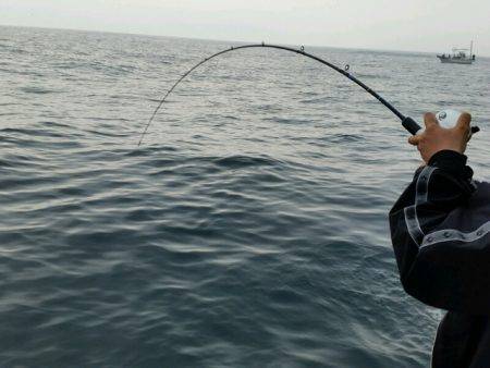 つれ鷹丸 釣果