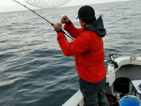 つれ鷹丸 釣果