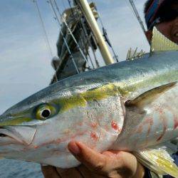 つれ鷹丸 釣果