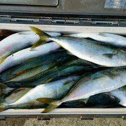 つれ鷹丸 釣果