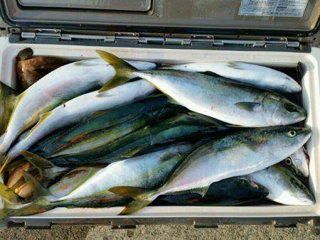 つれ鷹丸 釣果