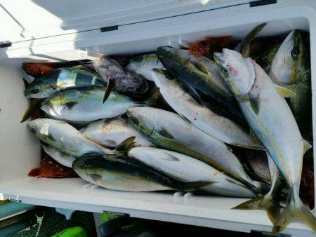 つれ鷹丸 釣果