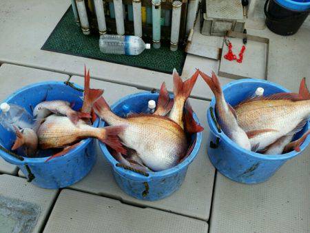 つれ鷹丸 釣果