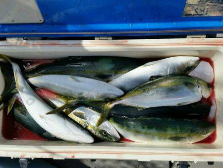 つれ鷹丸 釣果