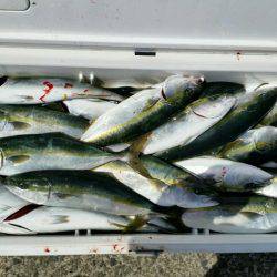 つれ鷹丸 釣果