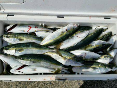 つれ鷹丸 釣果