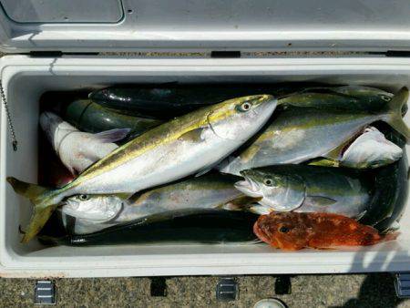 つれ鷹丸 釣果