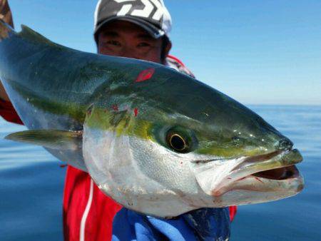 つれ鷹丸 釣果