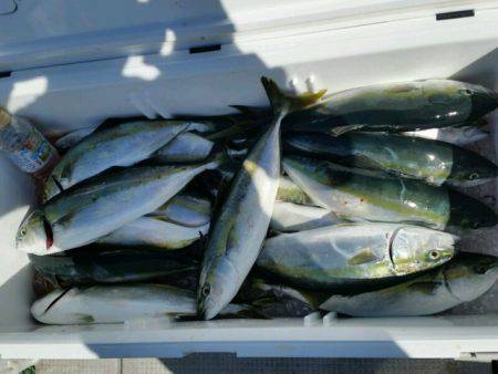 つれ鷹丸 釣果