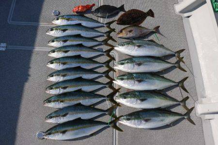 へいみつ丸 釣果