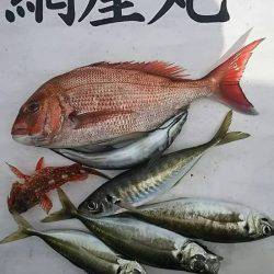 網屋丸 釣果