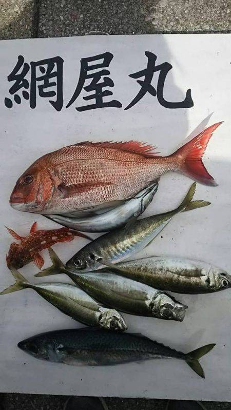 網屋丸 釣果