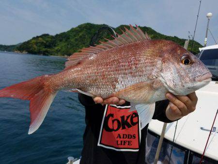 遊漁船　ニライカナイ 釣果