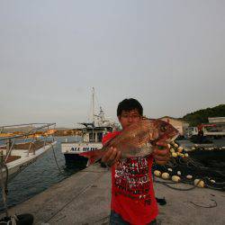 オーシャンズ　京都 釣果