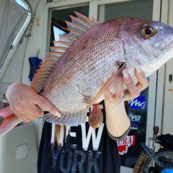 遊漁船　ニライカナイ 釣果