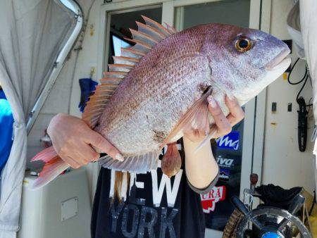 遊漁船　ニライカナイ 釣果