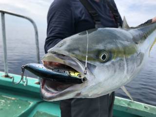 なかくに丸 釣果