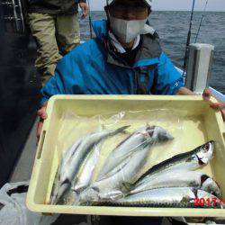 まとばや 釣果