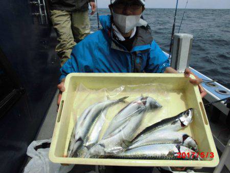 まとばや 釣果