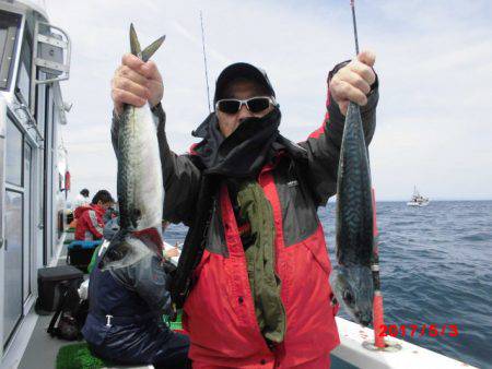 まとばや 釣果