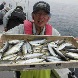 大進丸（愛知） 釣果