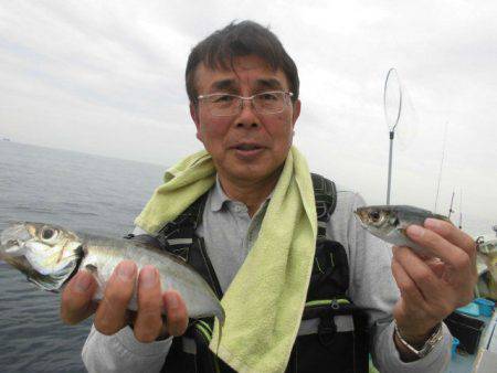 大進丸（愛知） 釣果