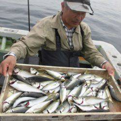 大進丸（愛知） 釣果