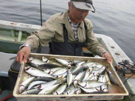 大進丸（愛知） 釣果