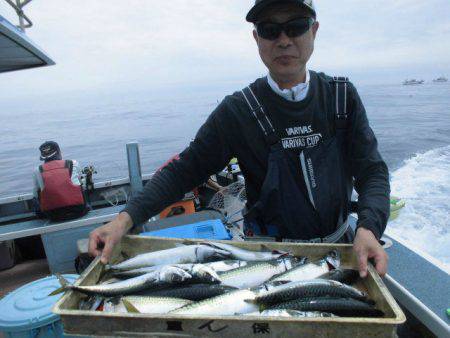 大進丸（愛知） 釣果