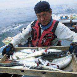 大進丸（愛知） 釣果