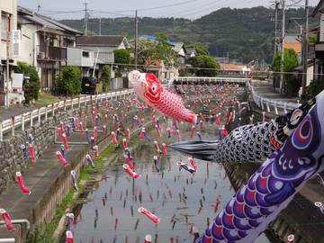 第五裕丸 釣果