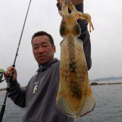 フィッシングボート空風（そらかぜ） 釣果