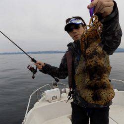 フィッシングボート空風（そらかぜ） 釣果