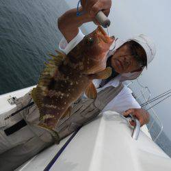 Fisherman Dreams DI 釣果