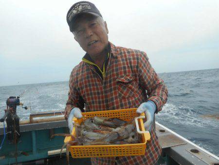 大進丸（愛知） 釣果