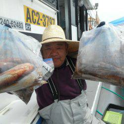 大進丸（愛知） 釣果