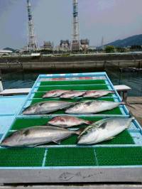 和歌山マリーナシティ釣り堀 釣果