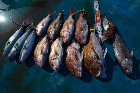 アジアマリンサービス 釣果