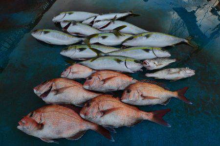 アジアマリンサービス 釣果